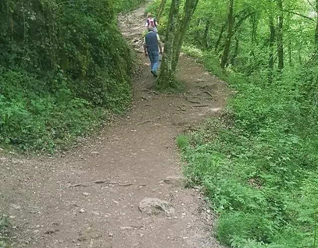 Dom wakacyjny Chez Lilly *