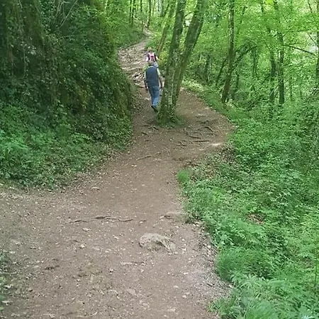 Hébergement de vacances Chez Lilly *